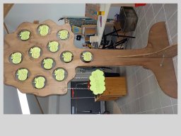 Creations Adhérents 2018